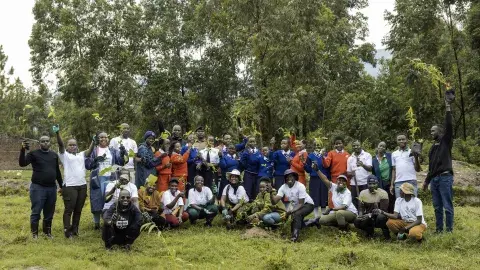 Kasese River Bank Restoration