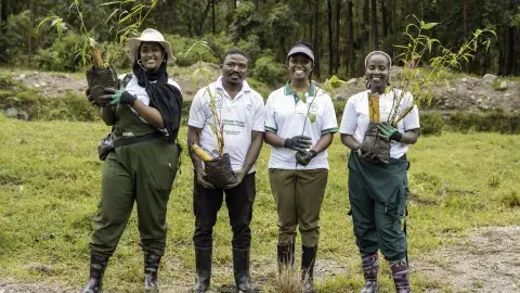 Kasese River Bank Restoration