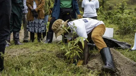 Kasese River Bank Restoration
