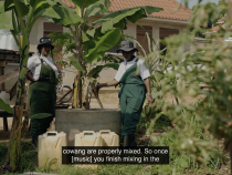The Community Biogas Project